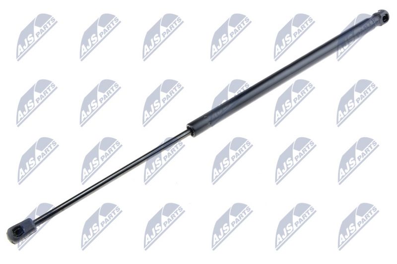 NTY AE-FR-006 Gas Spring, boot/cargo area