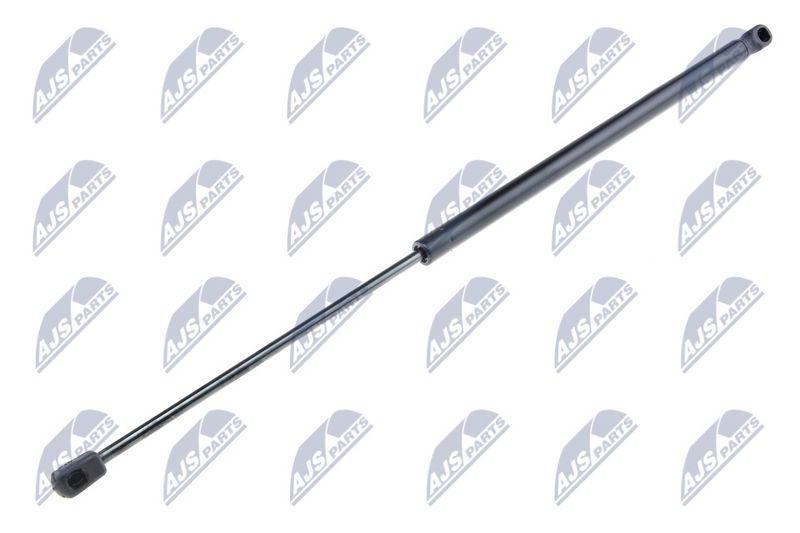 NTY AE-FR-022 Gas Spring, boot/cargo area