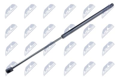 Gas Spring, boot/cargo area NTY AE-FR-032