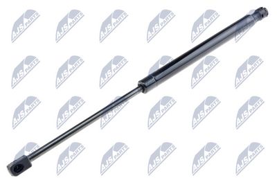 Gas Spring, boot/cargo area NTY AE-FR-040