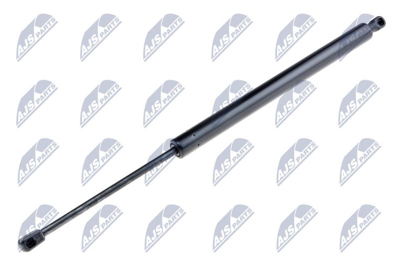 NTY AE-FR-042 Gas Spring, boot/cargo area