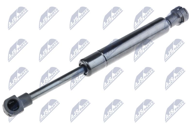 NTY AE-FR-044 Gas Spring, boot/cargo area