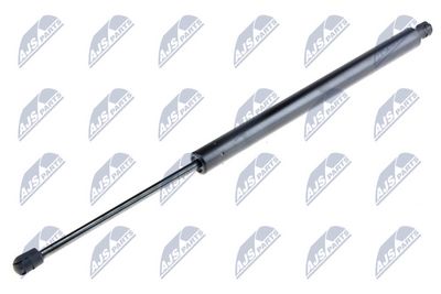 Gas Spring, boot/cargo area NTY AE-FR-045