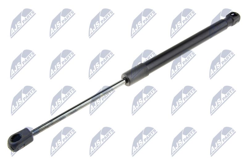 NTY AE-FR-049 Gas Spring, boot/cargo area