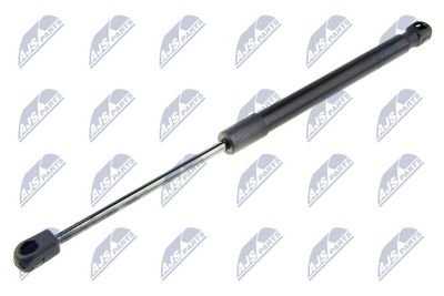 Gas Spring, boot/cargo area NTY AE-FR-049
