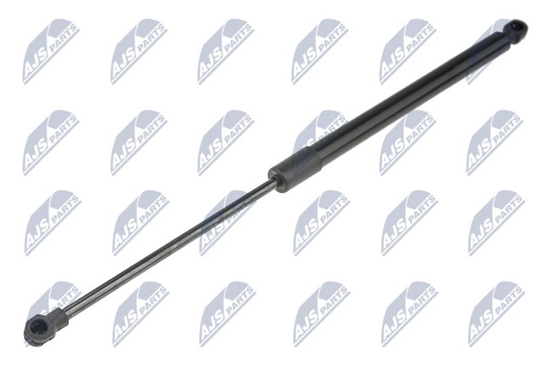 NTY AE-FR-051 Gas Spring, bonnet