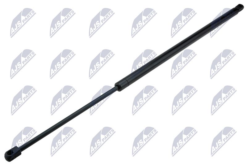 NTY AE-FR-056 Gas Spring, boot/cargo area