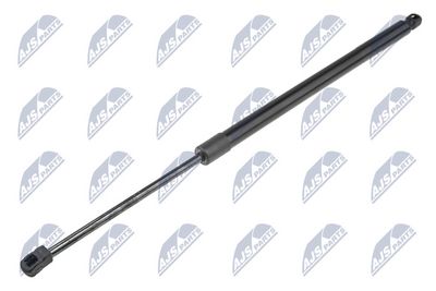 Gas Spring, boot/cargo area NTY AE-FR-057