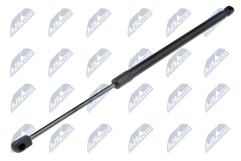 NTY AE-FR-059 Gas Spring, boot/cargo area