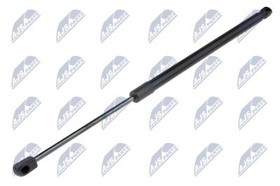Gas Spring, boot/cargo area NTY AE-FR-059
