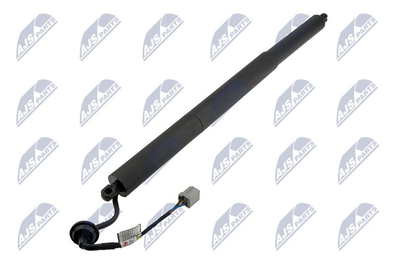 NTY AE-FR-069 Gas Spring, boot/cargo area