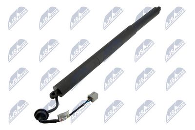 Gas Spring, boot/cargo area NTY AE-FR-069
