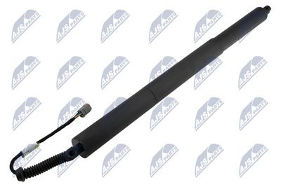 Gas Spring, boot/cargo area NTY AE-FR-071