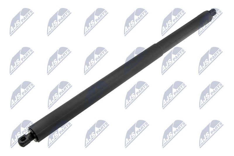 NTY AE-FR-079 Gas Spring, boot/cargo area