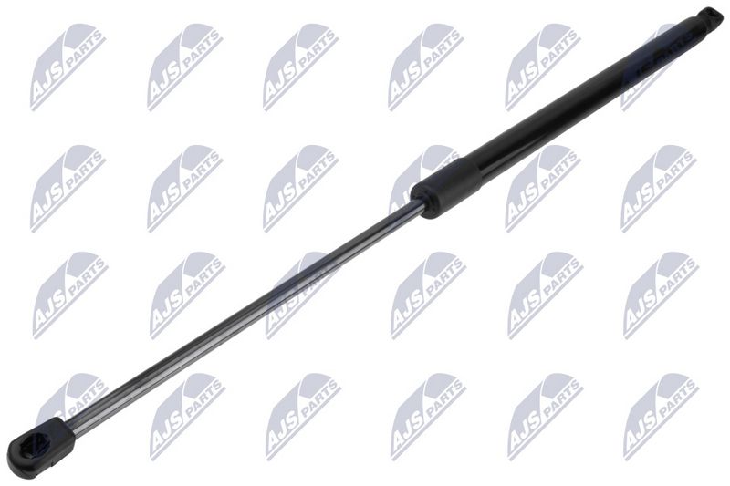 NTY AE-FR-089 Gas Spring, boot/cargo area