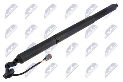 Electric Motor, tailgate NTY AE-FR-093