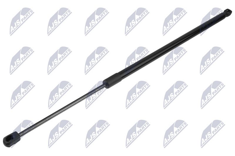 NTY AE-FR-097 Gas Spring, boot/cargo area