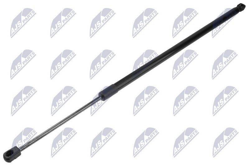 NTY AE-FR-100 Gas Spring, boot/cargo area