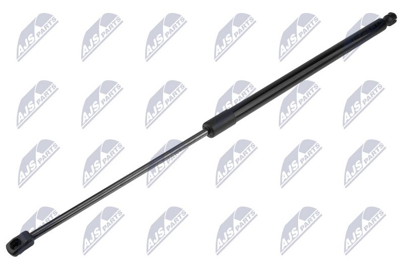NTY AE-FR-101 Gas Spring, boot/cargo area