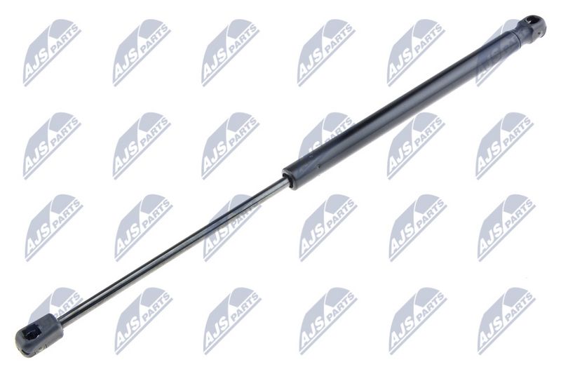 NTY AE-FT-000 Gas Spring, boot/cargo area
