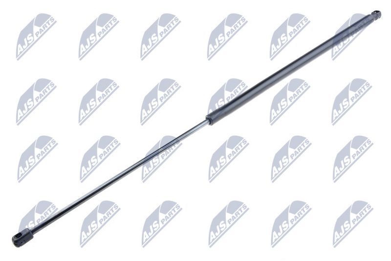 NTY AE-FT-006 Gas Spring, boot/cargo area