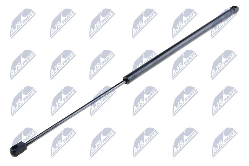 NTY AE-FT-020 Gas Spring, boot/cargo area