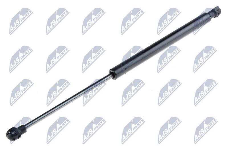 NTY AE-FT-021 Gas Spring, boot/cargo area