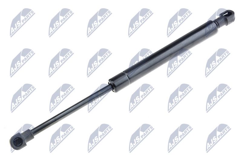 NTY AE-FT-023 Gas Spring, boot/cargo area