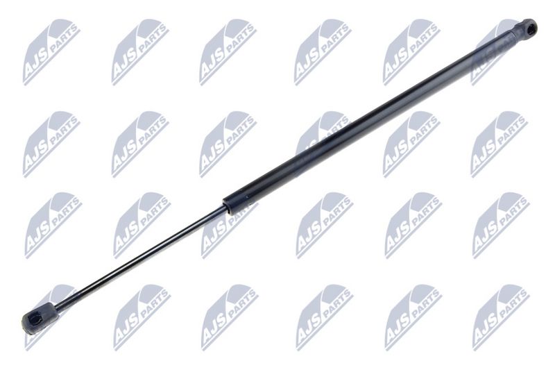 NTY AE-FT-024 Gas Spring, boot/cargo area