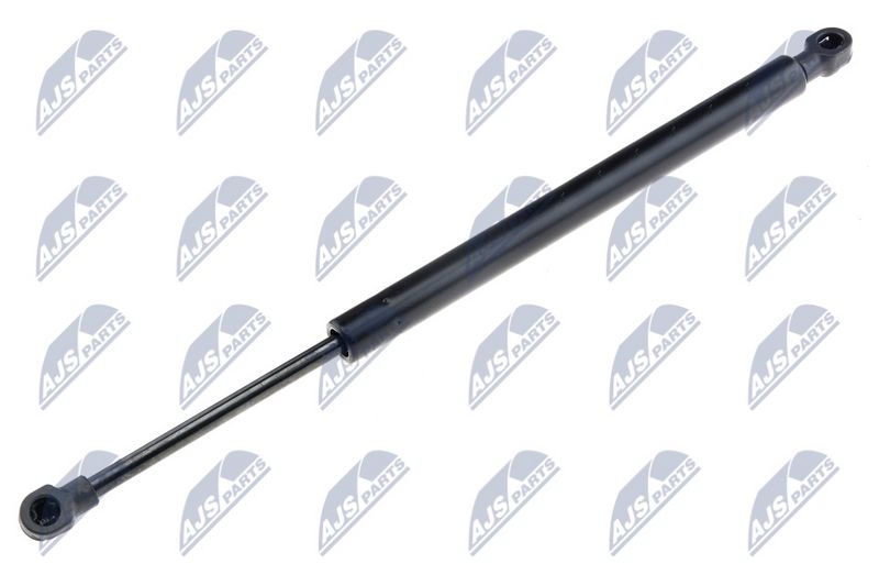 NTY AE-FT-025 Gas Spring, bonnet