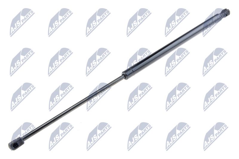 NTY AE-FT-029 Gas Spring, boot/cargo area
