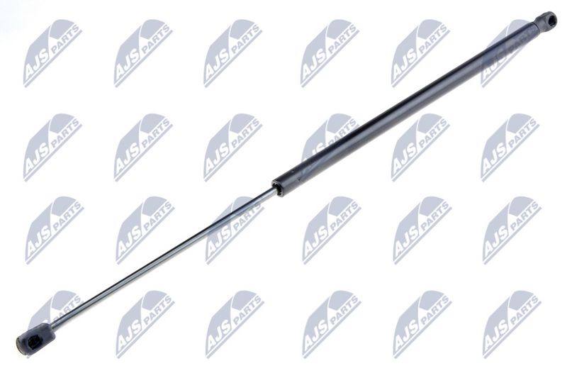 NTY AE-FT-031 Gas Spring, boot/cargo area