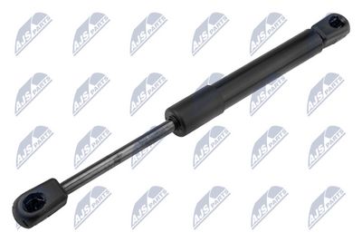 Gas Spring, boot/cargo area NTY AE-FT-039