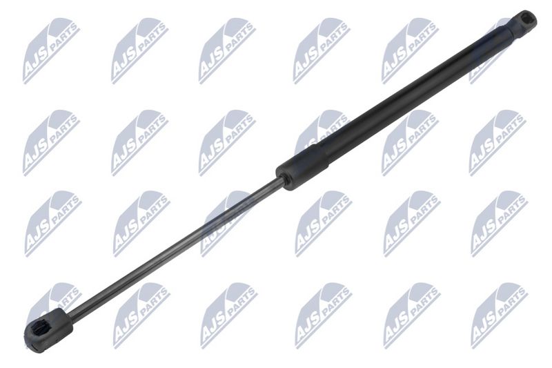 NTY AE-FT-040 Gas Spring, boot/cargo area