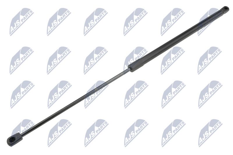 NTY AE-FT-042 Gas Spring, boot/cargo area