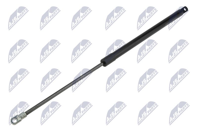 NTY AE-FT-043 Gas Spring, boot/cargo area