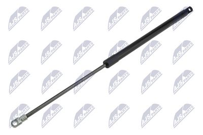 Gas Spring, boot/cargo area NTY AE-FT-043