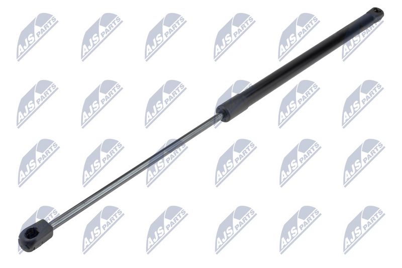 NTY AE-FT-045 Gas Spring, boot/cargo area