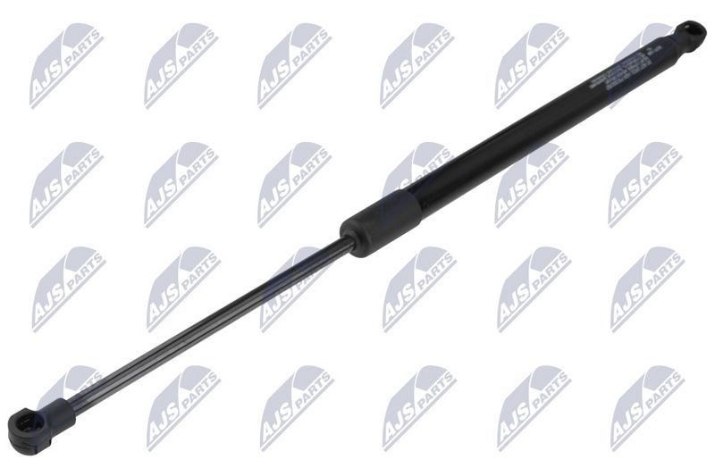 NTY AE-FT-048 Gas Spring, boot/cargo area