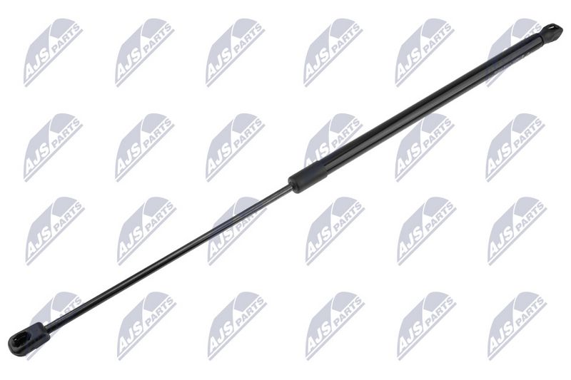 NTY AE-FT-049 Gas Spring, boot/cargo area