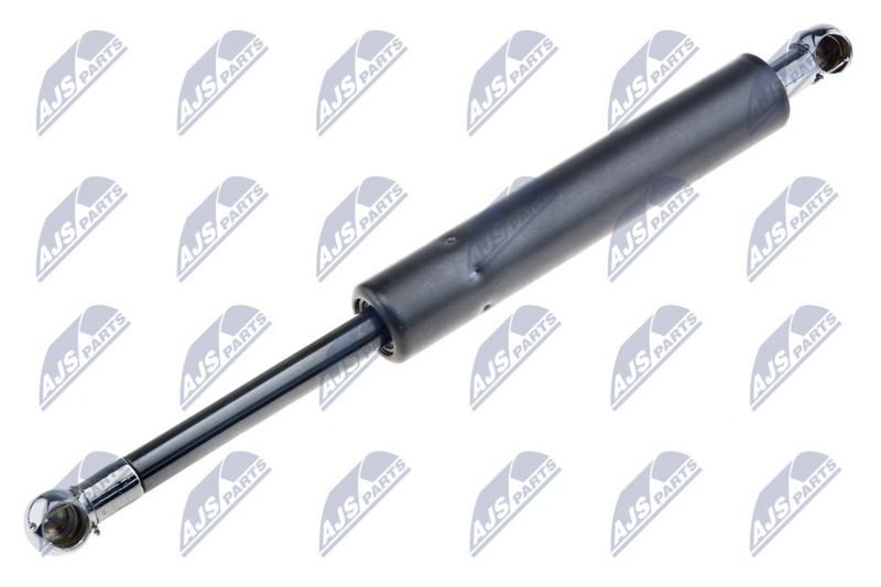 NTY AE-ME-003 Gas Spring, bonnet