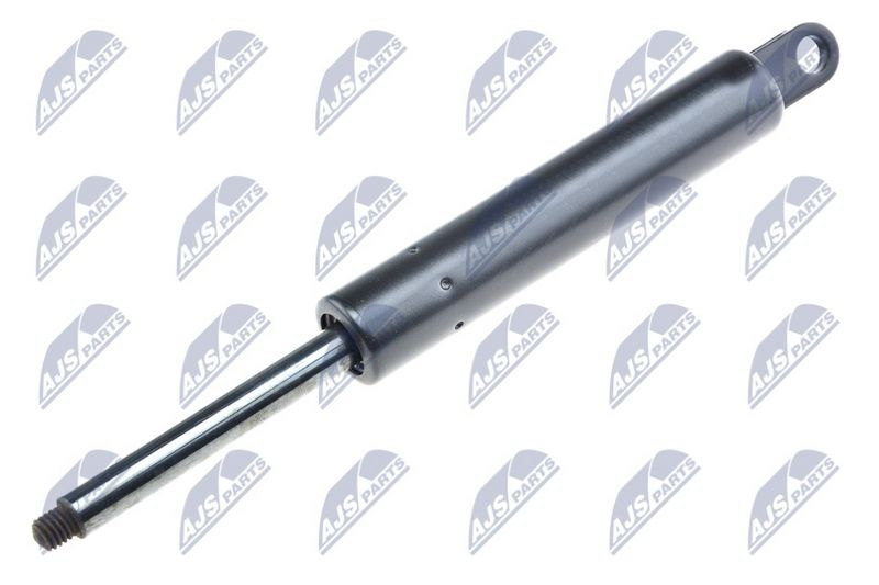 NTY AE-ME-023 Gas Spring, bonnet