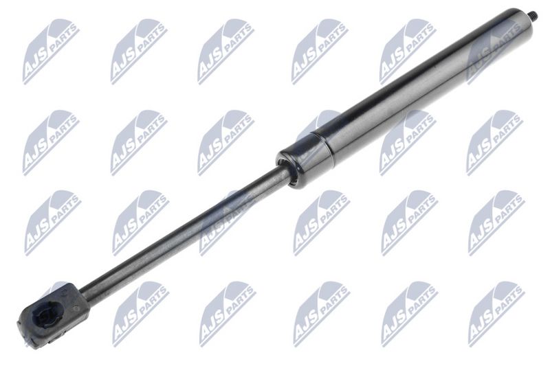 NTY AE-ME-034 Gas Spring, bonnet