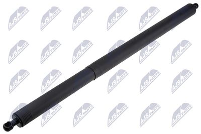 Gas Spring, boot/cargo area NTY AE-ME-101