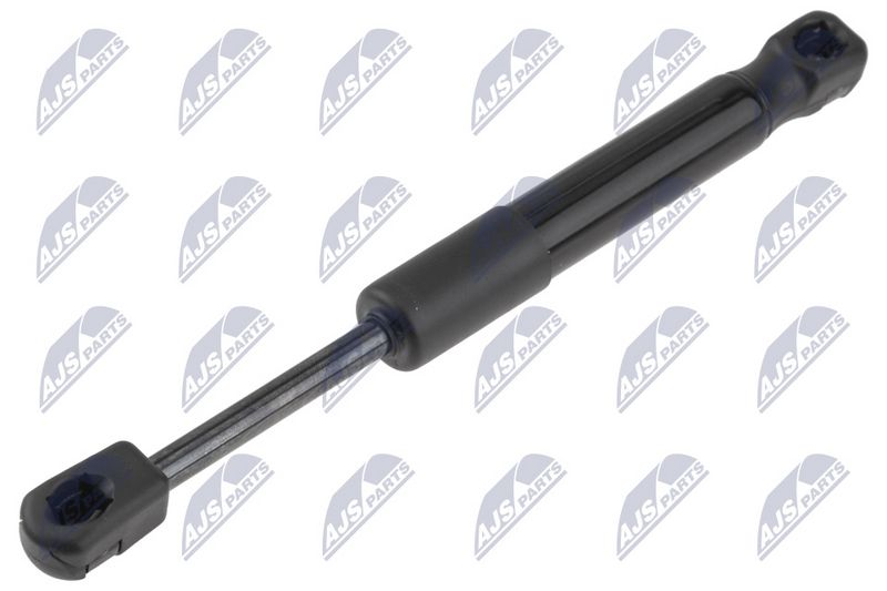 NTY AE-ME-113 Gas Spring, boot/cargo area
