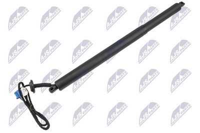 Electric Motor, tailgate NTY AE-ME-117