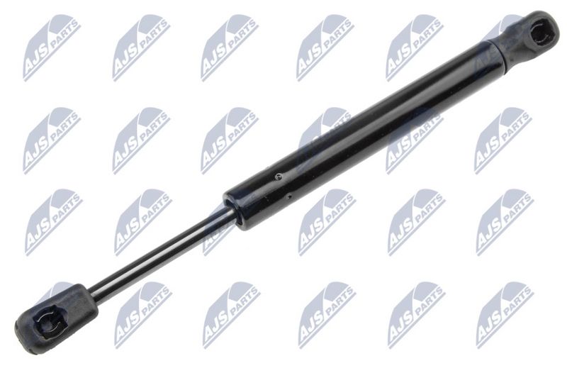NTY AE-MZ-012 Gas Spring, boot/cargo area