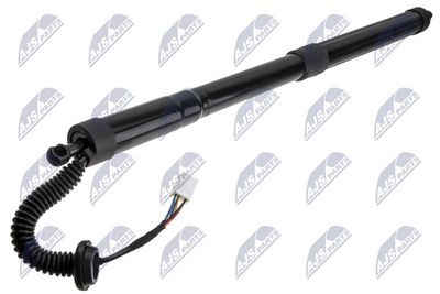 Gas Spring, boot/cargo area NTY AE-MZ-026