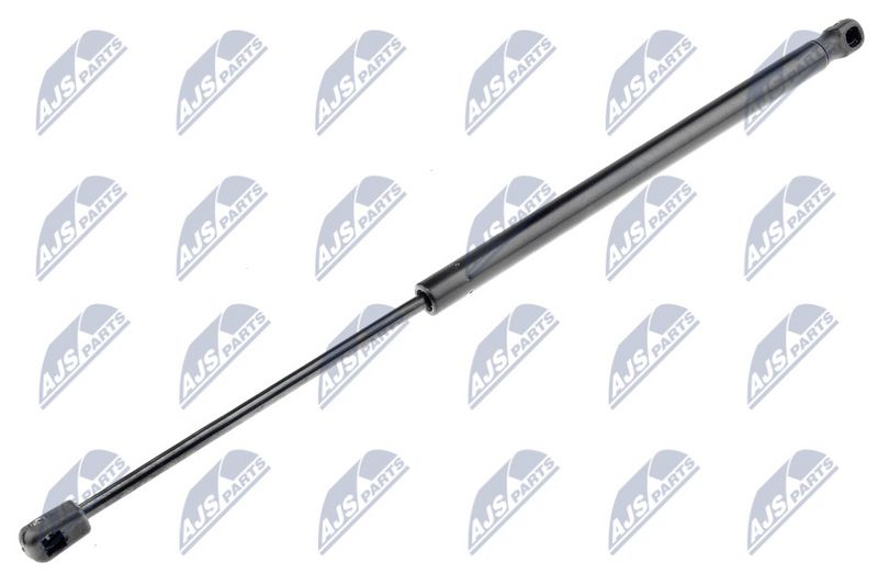 NTY AE-NS-004 Gas Spring, boot/cargo area