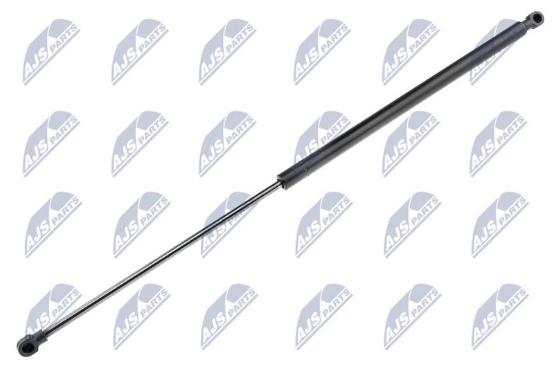 NTY AE-NS-010 Gas Spring, boot/cargo area